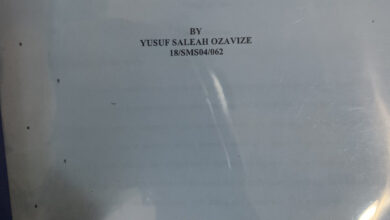Lady gets an A in her project after using Burna Boy as her case study