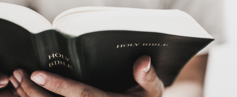 Bible Verse of the Day 7 August 2022 || James 3:18