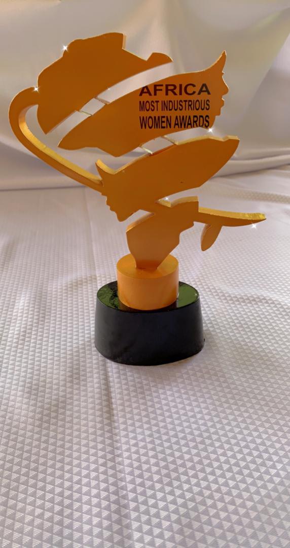 Nomination Opens For Africa Most Industrious Women Awards 2022*