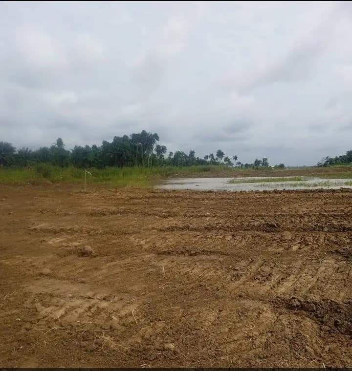 GWEGWE APPEAL TO GOV DOUYE DIRI TO VISIT OBOGORO.