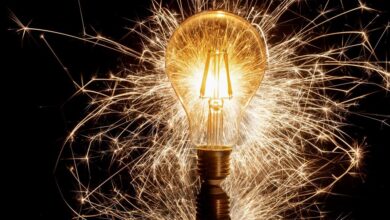 Five Major Companies Leveraging On Africa’s Untapped Rich Potentials To Create Wealth*