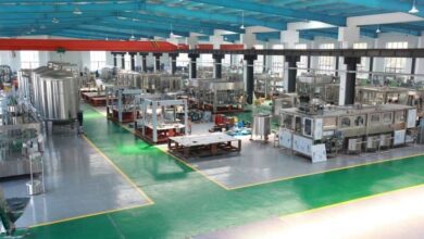 Our Food Processing Facility Targeted At Saving Huge Forex From Import — Tingo Foods