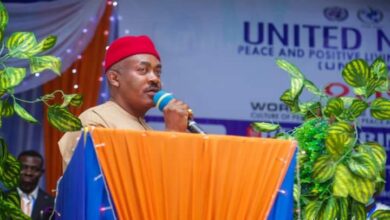 *2023 Polls: Maduka Sues For Peace, Urges Nigerians To Participate In Elections*