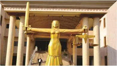 Appeal Court Slams ₦‎40m Fine On Lawsuit Seeking To Stop Tinubu Inauguration