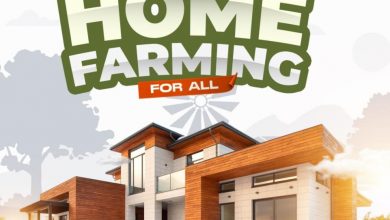 Zenith Energy Enzymes Launches Home Farming for All Kits: Revolutionizing Home Gardening and Youth Employment in Nigeria