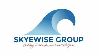 Skyewise Group Reacts To Viral Video Of Tonto Dike, Appreciates Members of Public