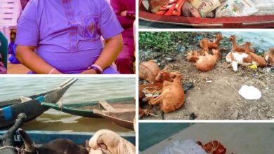 Jubilation in Koluama Clan as Chief Pastor Reuben donates food items,  Cows and Goats to the Clan to celebrate the season