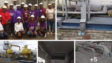 Gbarian Power plant has capacity to generate 112.5MW, contributes 60MW to the national grid — NDPHC tells APWEN members.