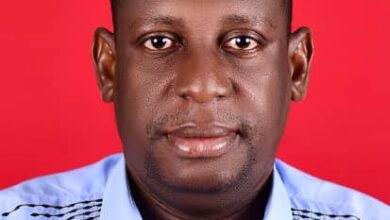 Shadow Government: A Constitutional Right, Not Treason By Ejiro Ernest Ofoye, Esq.Advocate for Democratic Governance.