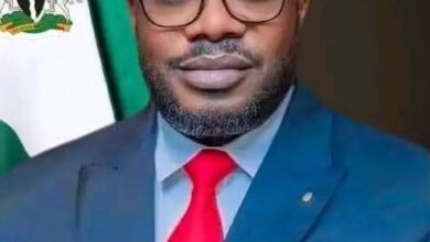 SPONSORED PLOTS TO DERAIL PRESIDENTIAL AMNESTY PROGRAMME WILL FAIL… SAYS IJAW GROUP.