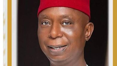 Sen. Ned Nwoko Beats Dankwambo, Karimi, Yari, Others to Emerge Best Performing Senator of the Year