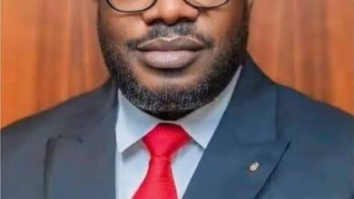 2027: Niger Delta’ll Support Only Tinubu – PAP Boss