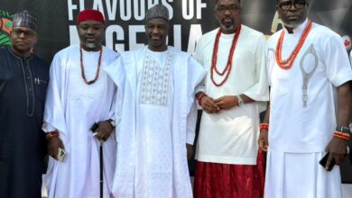 Flavours of Nigeria Festival 2025 Brings the Spirit of Nigeria to Brampton