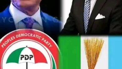 APC or PDP? Tonye Cole Challenges Wike to Choose a Side”