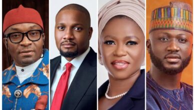 Deputy Speaker, DG SMEDAN, Actor Uzee Usman, Stella Okotete, Others to Speak at Skyewise Foundation’s ‘Meet The CEOs’ 5.0