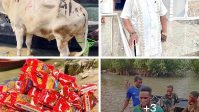 Chief Reuben Clifford Wilson’s Yetilde Rice and Cows Distribution Train Reaches Kolu-Ama Kingdom