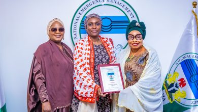 IWD 2026: NIPR Secures NEMA’s Partnership.*