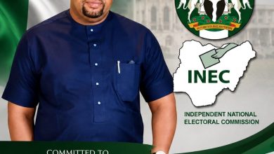 Nouvelle Perspective Led by Hon. Okolo Makes List of 98 Accredited Observers for Ekiti Governorship Election